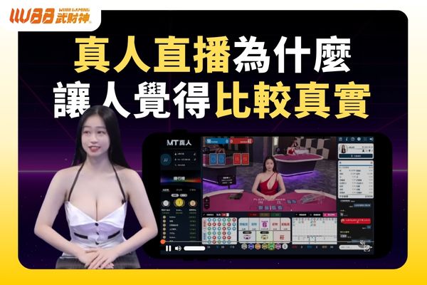 mt娛樂城公平性